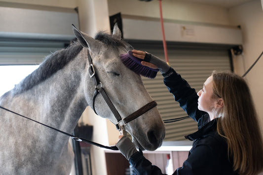 'Horsemanship Can’t Be Allowed to Die Out': An Argument for The Barn Rat