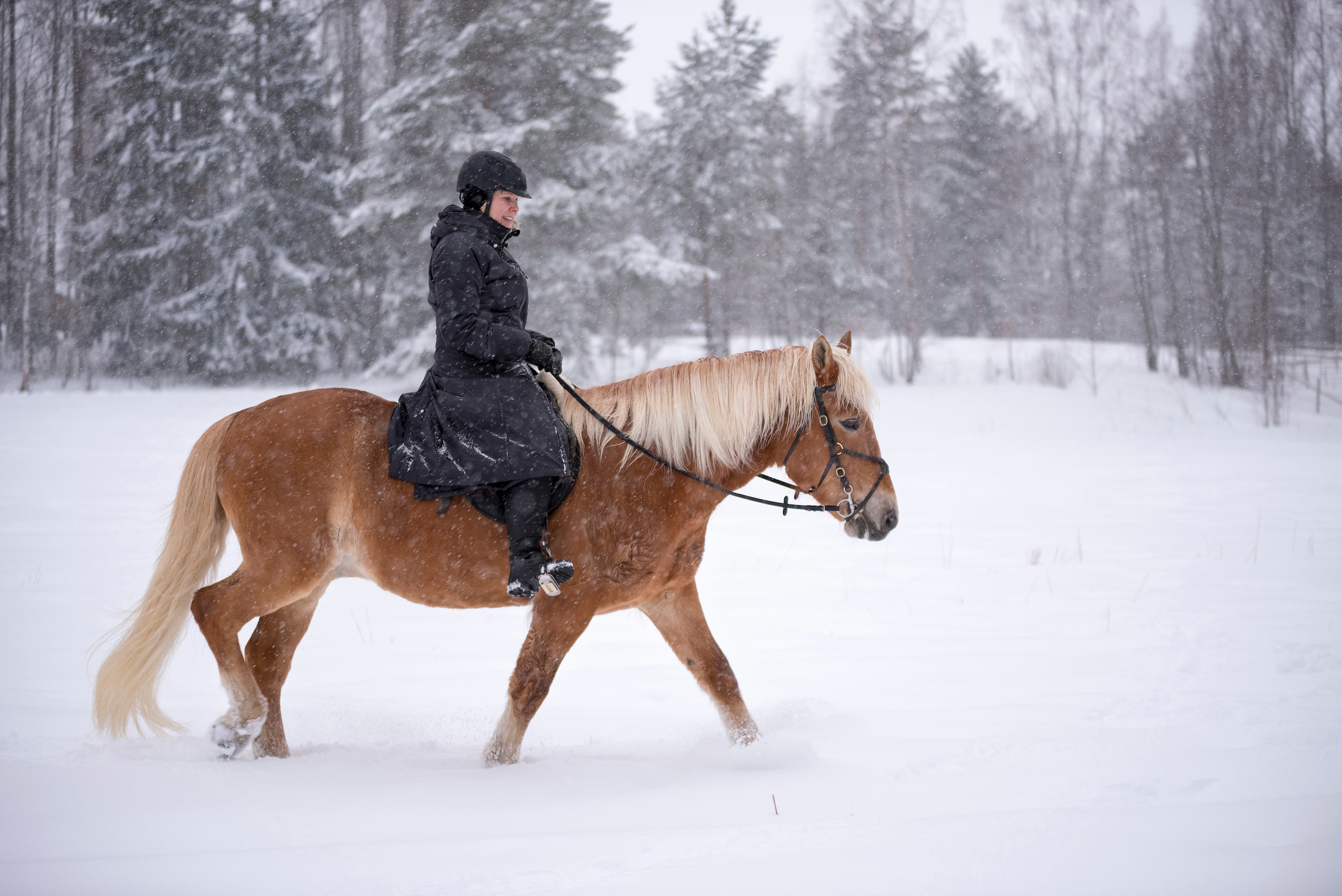 Weathering Winter as an Amateur Equestrian