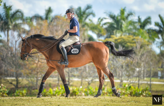 Jeroen Dubbeldam Gets to Keep Champion Partner SFN Zenith