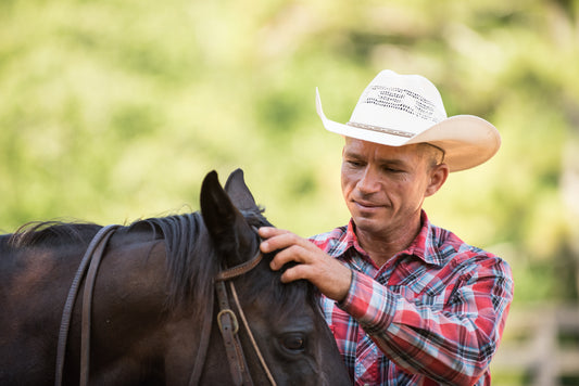 Do You Speak Horse? 5 Ways to be a Better Communicator