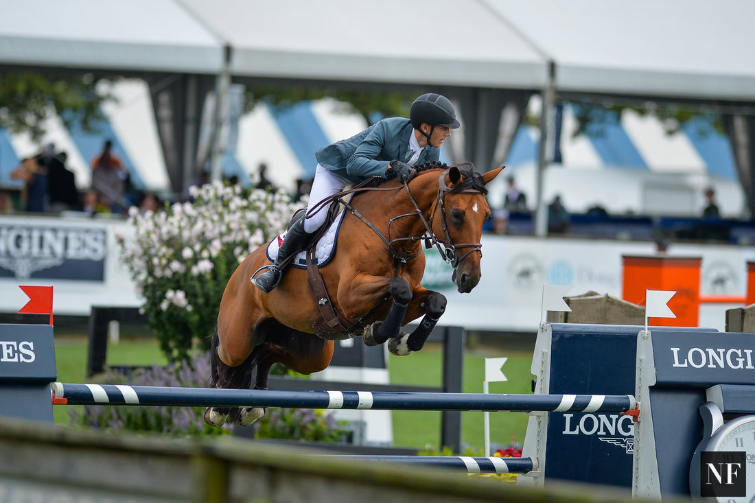 Horse of the Week: Boo Van Het Kastanjehof