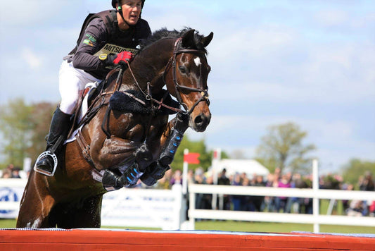 Ride the Horse, Not the X-Rays: This ‘Unsellable’ Horse Went to the Olympics