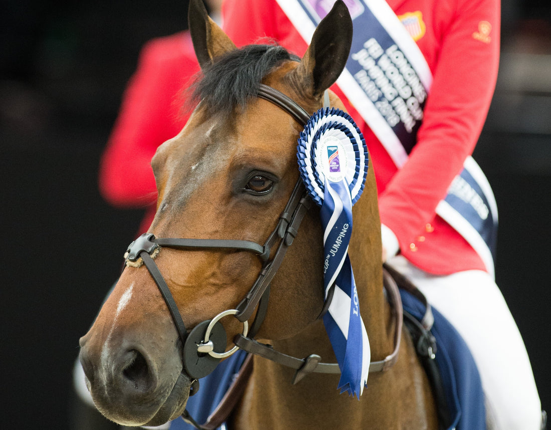 Jeroen Dubbeldam on Longines FEI Jumping World Cup™ Washington Winner Breitling LS as a Young Horse