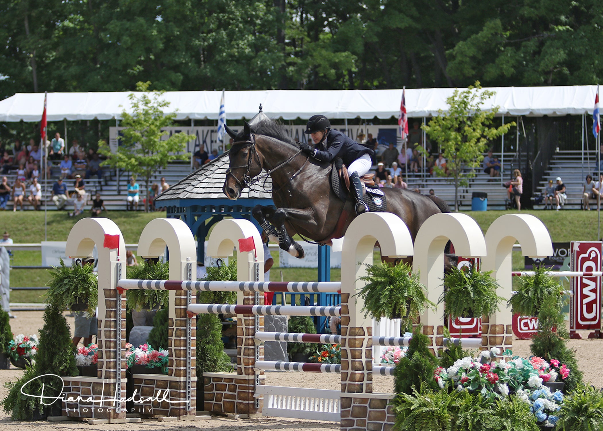 Margie Engle & Dicas Win $50,000 Grand Traverse Grand Prix CSI2*