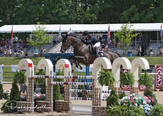 Margie Engle & Dicas Win $50,000 Grand Traverse Grand Prix CSI2*