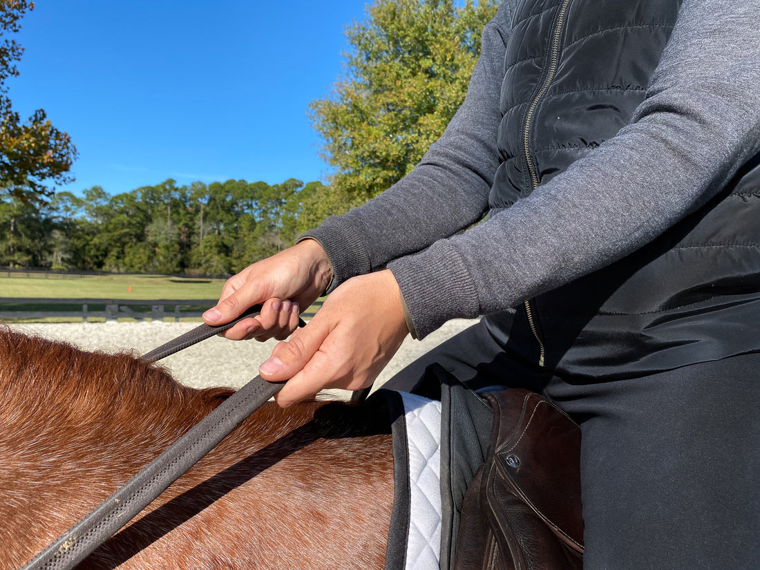 Ace Bandages and Driving Reins: Creative Training Tips That Are Actually Worth Trying