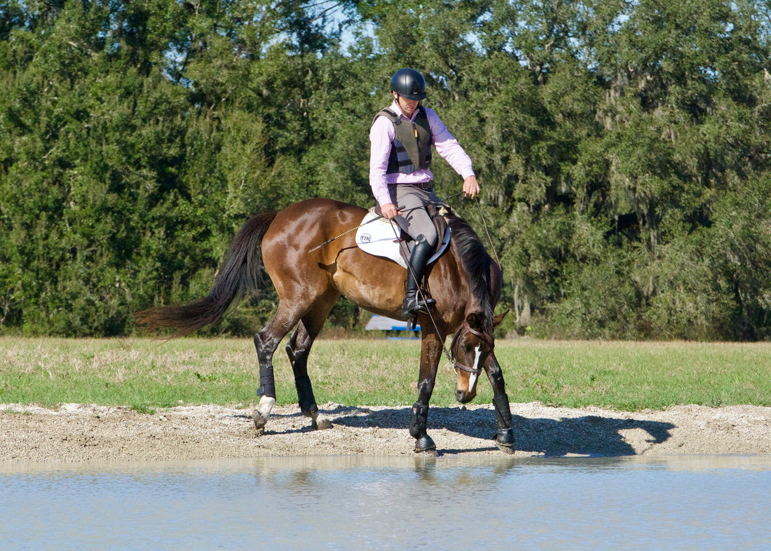 Hot Take: Letting Your Green Horse Refuse Jumps Can Actually Pay Off Later