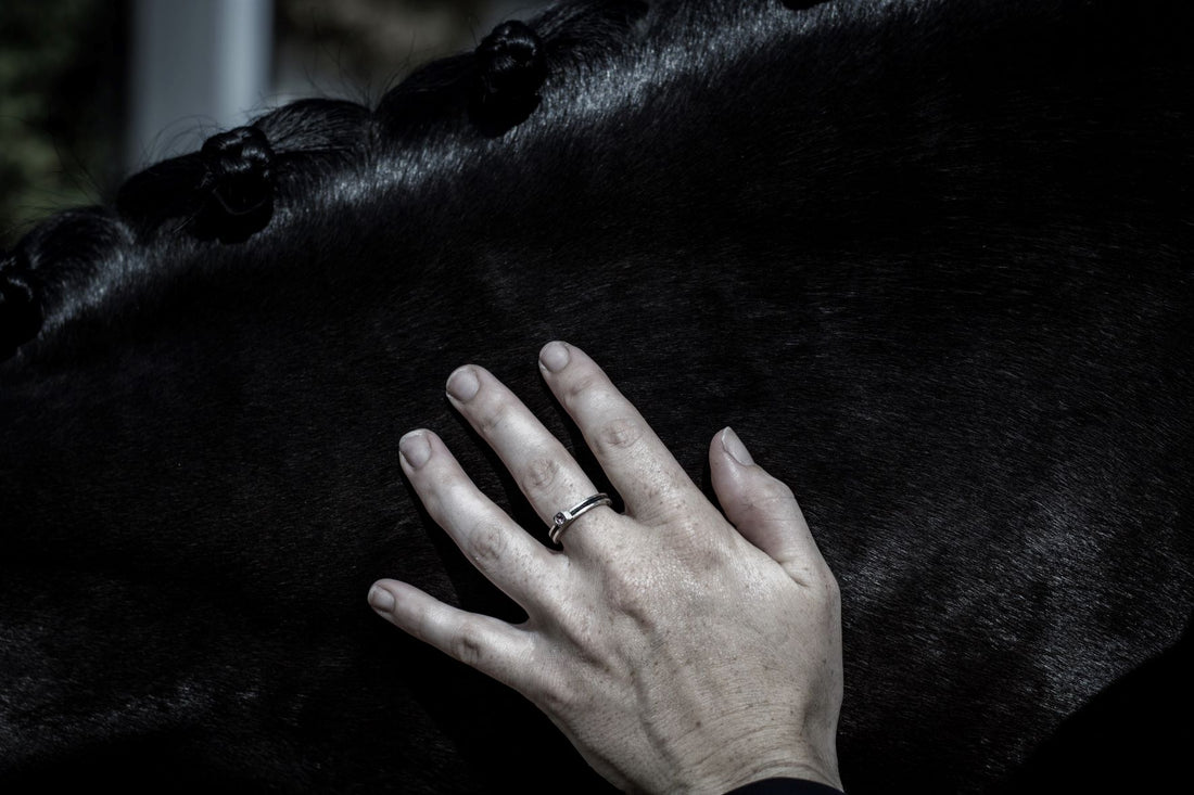 When Every Option Feels Awful: Struggling With An Impossible Decision for a Dangerous Horse