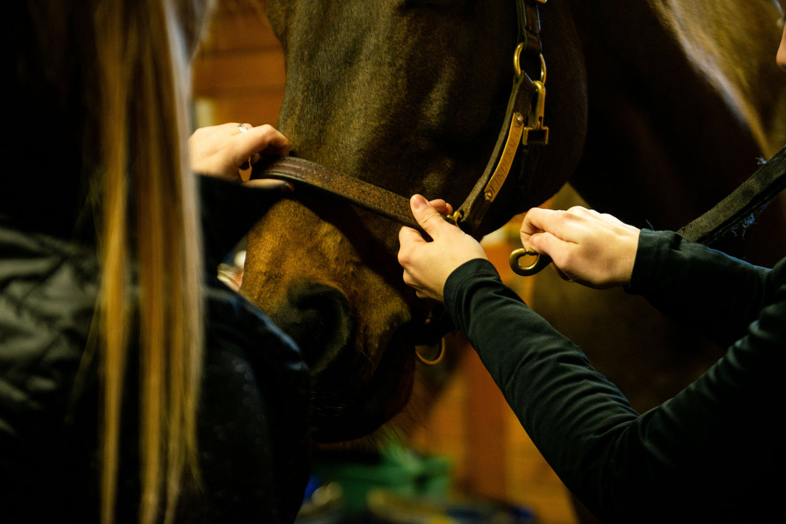 Ask Us: When and How Should I Intervene With the Vet/Farrier?