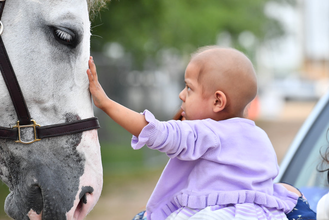 A Young Cancer Patient Made a Wish to Meet a Single Horse. The Equestrian Community Brought Her More Than 70.