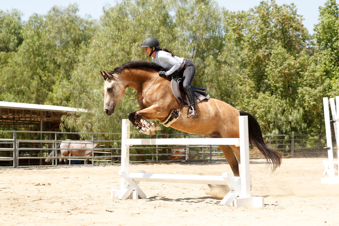 Britt Sabbah Voted NoelleFloyd.com 2018 Equestrian Influencer of the Year