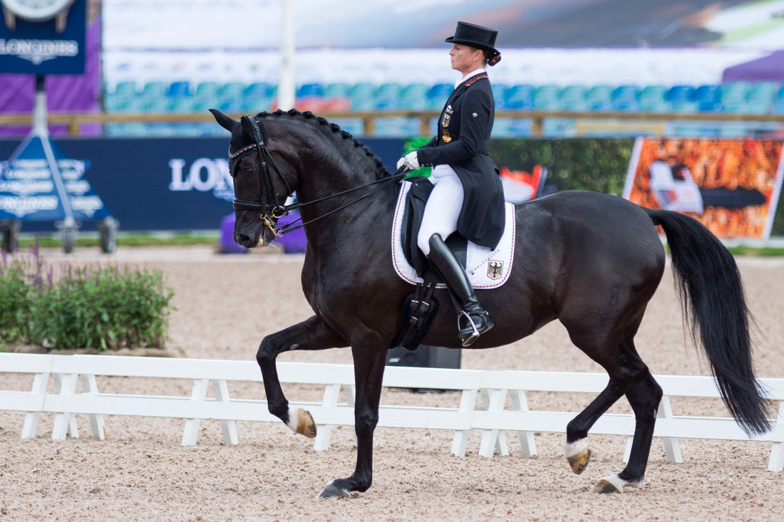 Power and Grace: An Insider’s Guide to Dressage in 2018