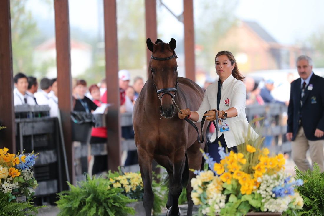 From an Asian Games Gold Medal to WEG on a Self-Made Horse: Catching Up with Jackie Siu