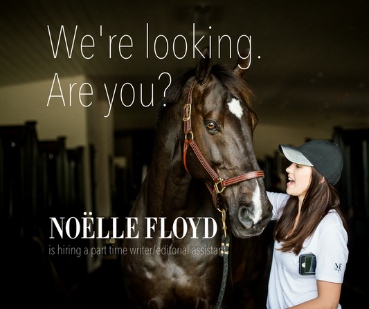 Noëlle Floyd Is Hiring a Part-Time Writer/Editorial Assistant