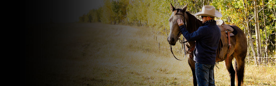 Josh Nichol Relational Horsemanship Clinic Presented by NOËLLE FLOYD