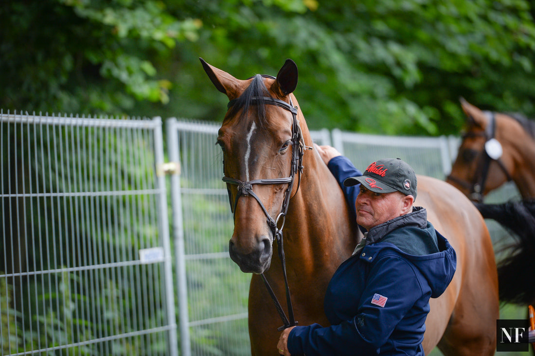 Public Voting Now Open for 2017 FEI Awards