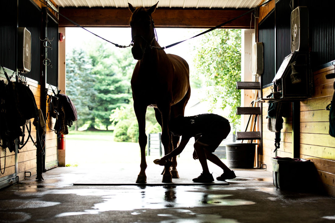 Footing, Flatwork, and Over-Jumping: A Must-Read Soundness Q&A with Dr. Paul McClellan