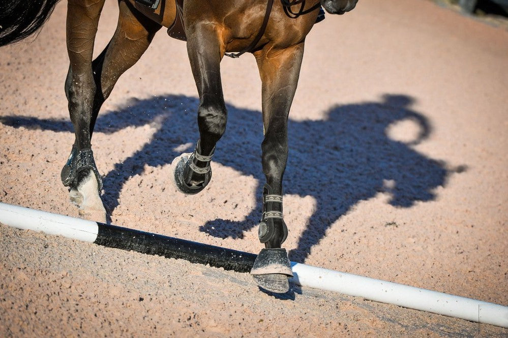 Reset Your Riding: Gail Greenough's Favorite Back-in-the-Saddle Tuneups