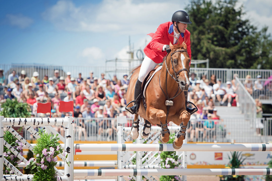 A Well-Deserved Retirement for McLain Ward's Rothchild