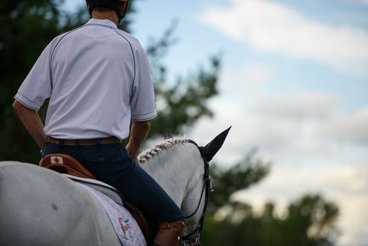 9 Things I’ve Learned During My Years Selling Horses