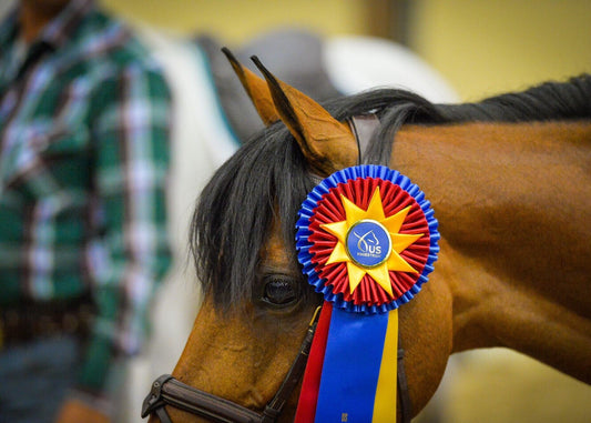 It’s Hard to Find a Top Show Pony These Days, But Don’t Be Fooled: A Resurgence Is Under Way in American Pony Breeding