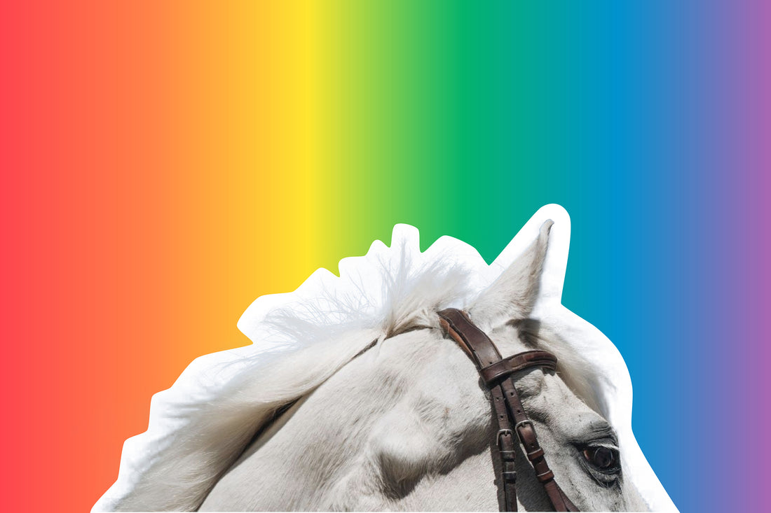 We Can Make the Equestrian Community — and the World — a Better Place for Queer People