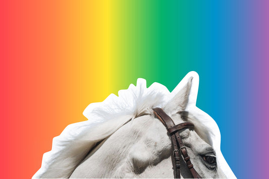 We Can Make the Equestrian Community — and the World — a Better Place for Queer People