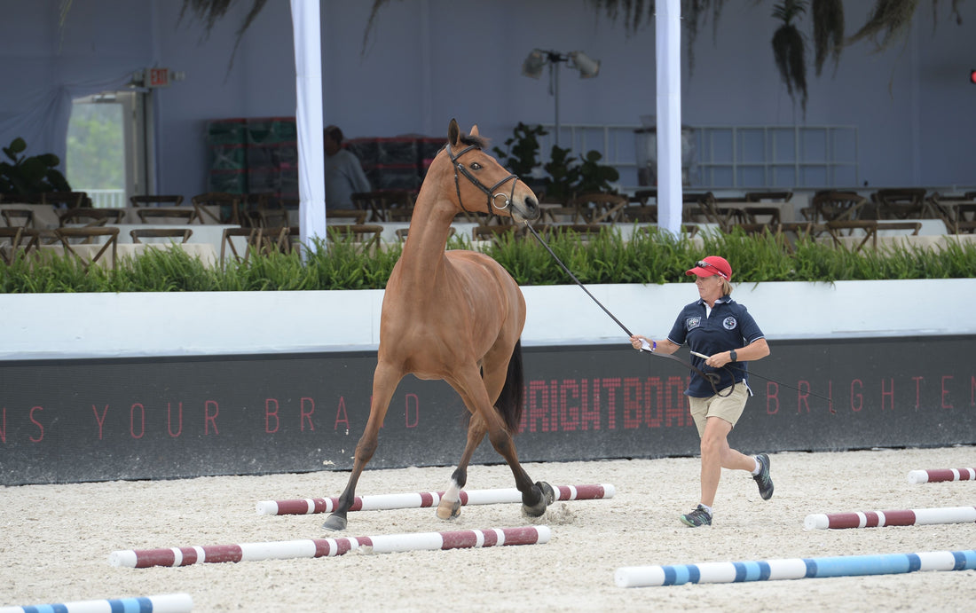 Dr. Jekyll and Mr. Hyde: What to Do When Your Horse Suffers from Multiple Personality Disorder