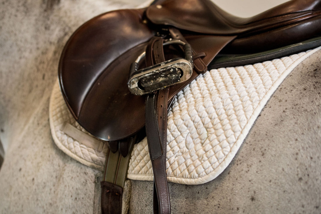 'After a Custom Saddle Sidelined My Horse, I'm Unsure if My New Saddle Clears Her Withers Enough.'