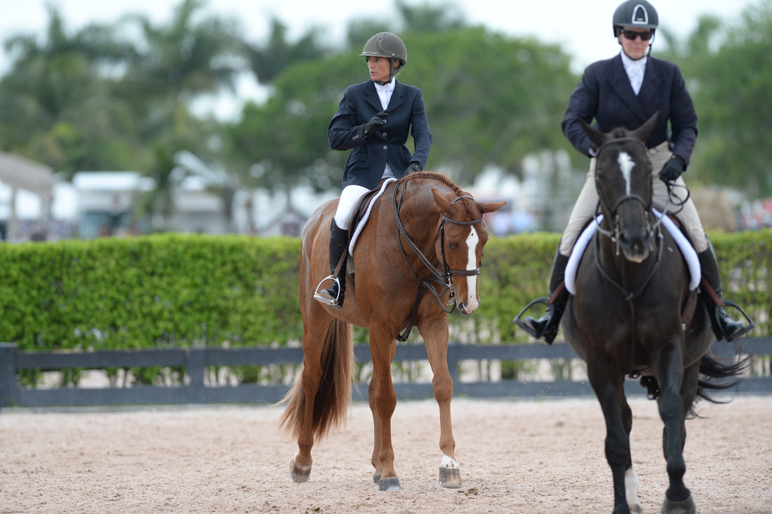 6 Ways to Achieve a Confident Schooling Ring Experience