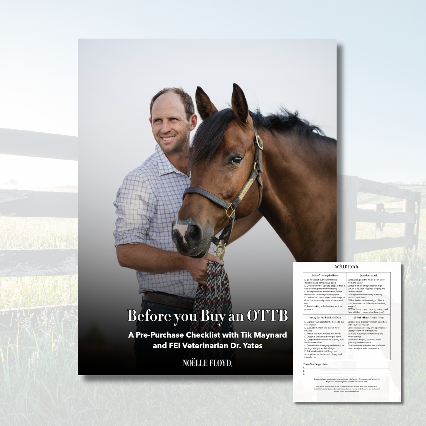 Before You Buy an OTTB: Free Pre-Purchase Checklist