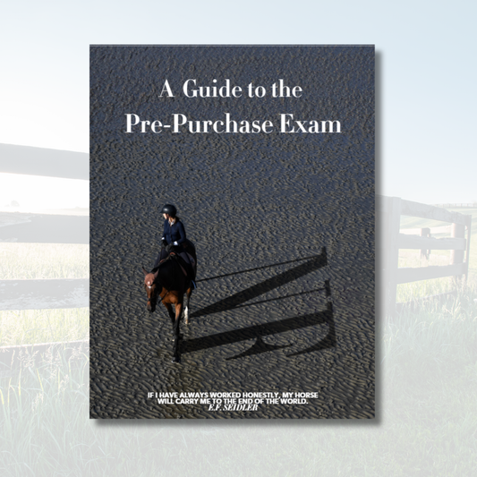 A Guide to the Pre-Purchase Exam Workbook
