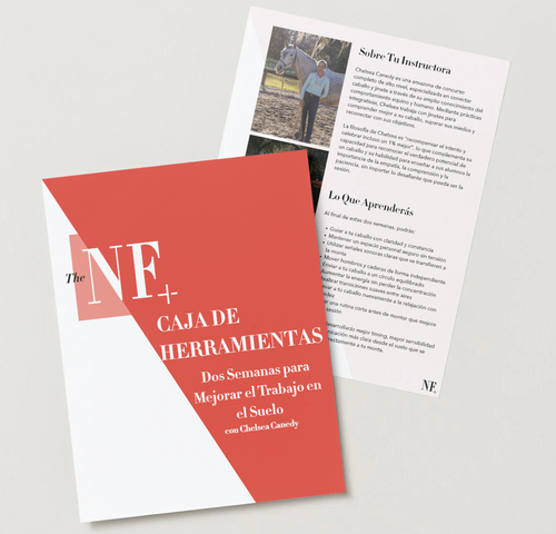 Two Weeks to Better Groundwork with Chelsea Canedy Workbook Spanish