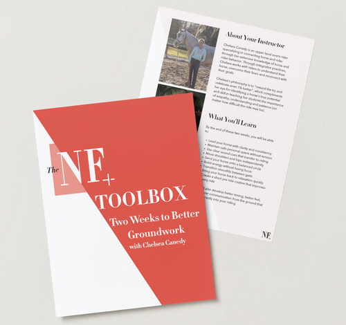 Two Weeks to Better Groundwork with Chelsea Canedy Workbook English