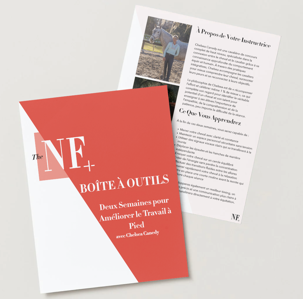 Two Weeks to Better Groundwork with Chelsea Canedy Workbook French