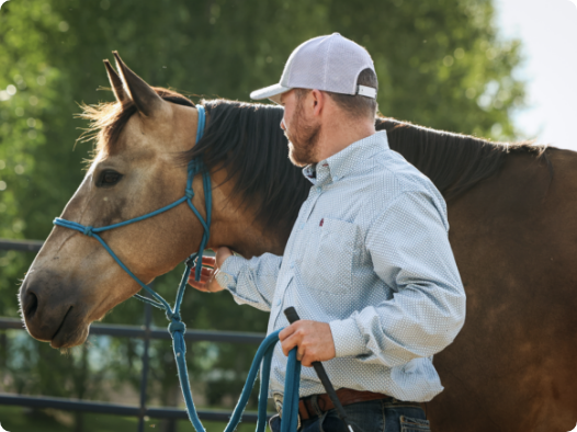 Understanding Your Horses Needs