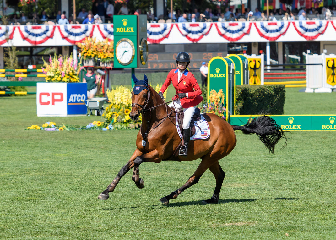 Jumping Exercises for Horses & Riders | Show Jumping Training, Grids ...