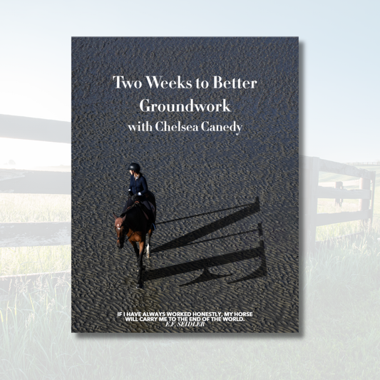 Two Weeks to Better Groundwork with Chelsea Canedy Workbook English