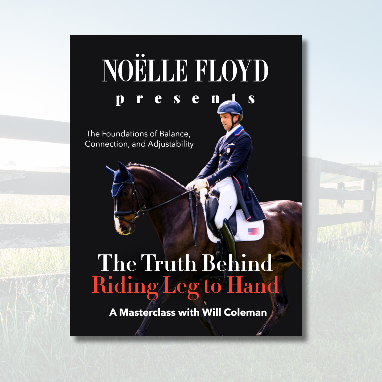 The Truth Behind Riding Leg to Hand Textbook